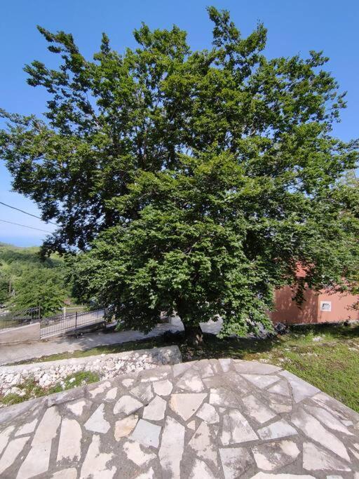 Nature Escape Montenegro Kotor Exterior photo