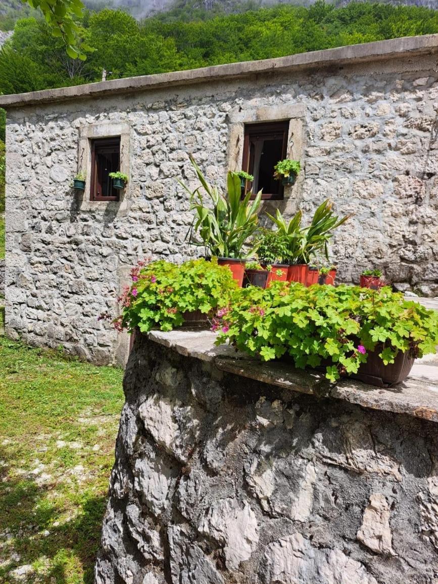 Nature Escape Montenegro Kotor Exterior photo