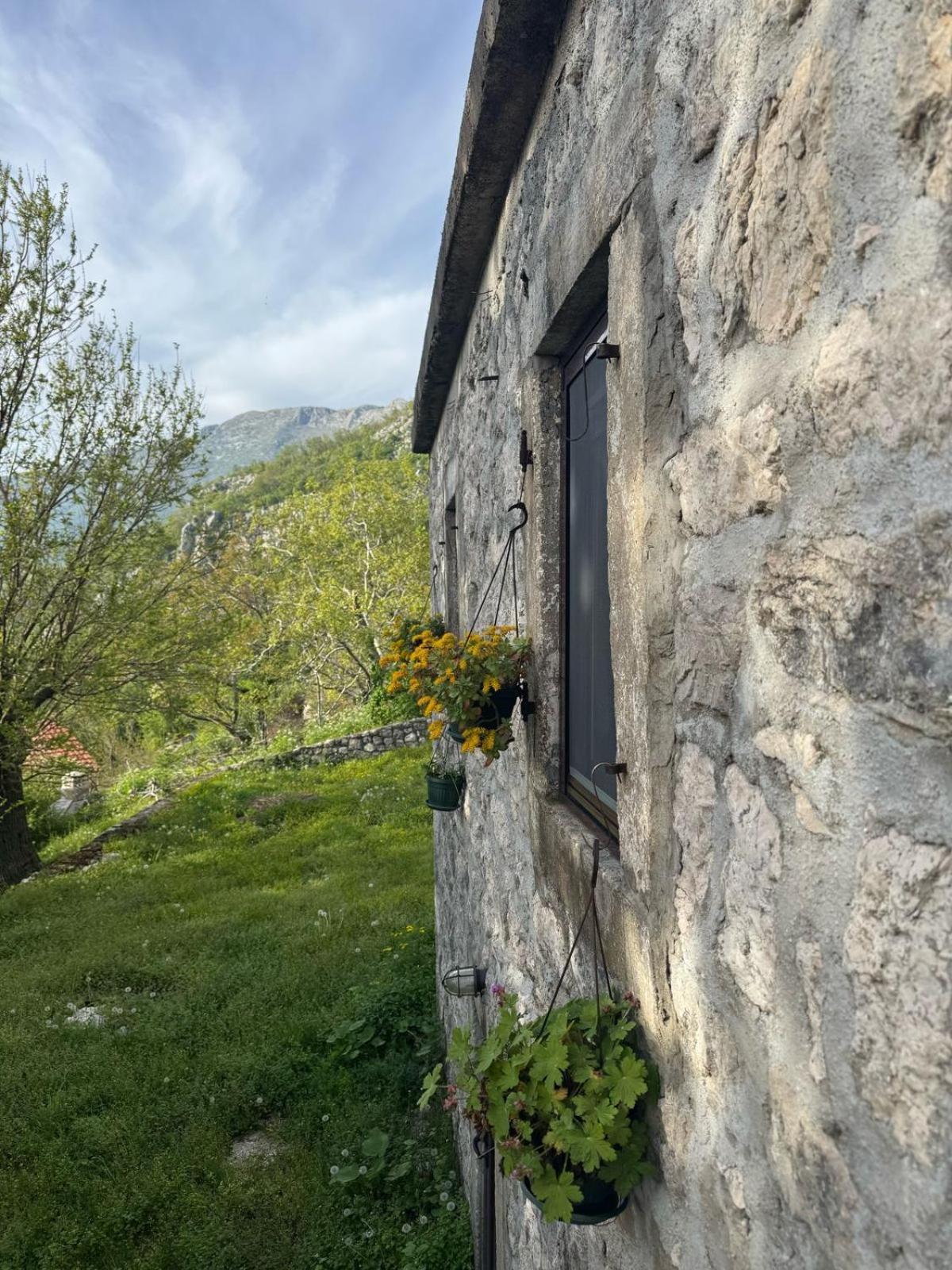Nature Escape Montenegro Kotor Exterior photo
